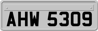 AHW5309