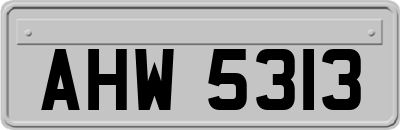 AHW5313
