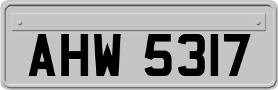 AHW5317