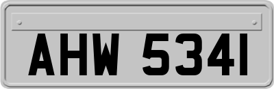 AHW5341