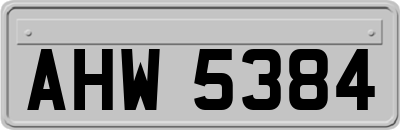 AHW5384