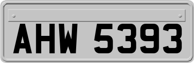 AHW5393