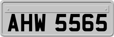 AHW5565