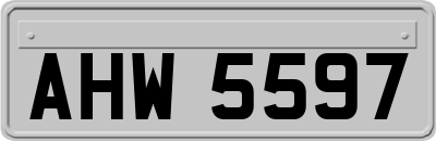 AHW5597