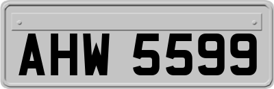 AHW5599