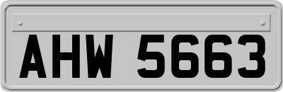 AHW5663