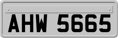 AHW5665