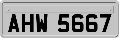 AHW5667