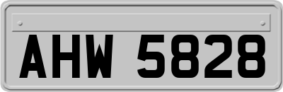 AHW5828