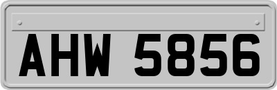 AHW5856