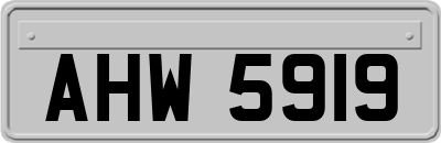 AHW5919