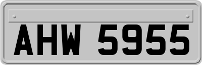 AHW5955