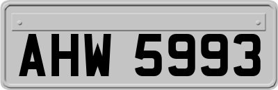 AHW5993