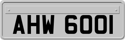 AHW6001