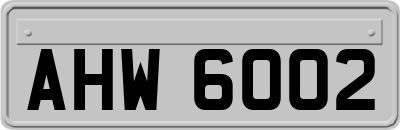 AHW6002