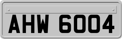 AHW6004