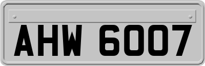 AHW6007
