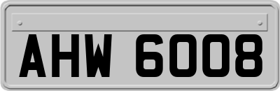 AHW6008
