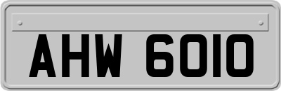 AHW6010