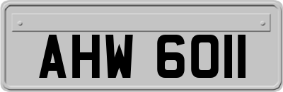 AHW6011