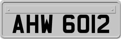 AHW6012