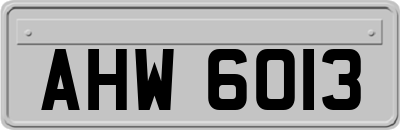AHW6013