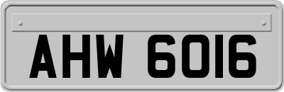 AHW6016