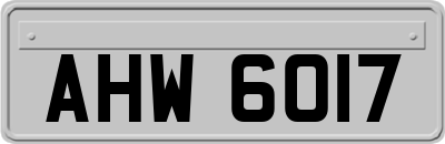 AHW6017