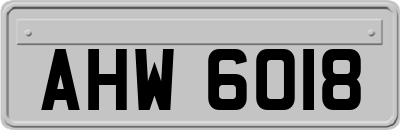 AHW6018