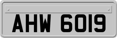 AHW6019