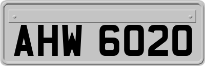 AHW6020