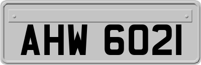 AHW6021