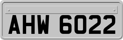 AHW6022