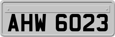 AHW6023
