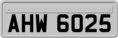AHW6025