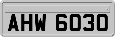 AHW6030