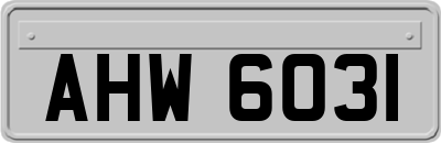 AHW6031