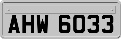 AHW6033