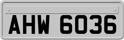 AHW6036