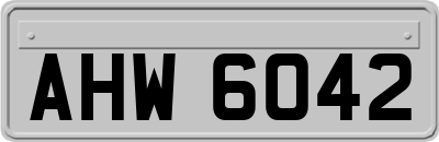 AHW6042