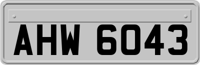 AHW6043