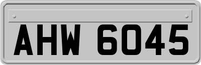 AHW6045