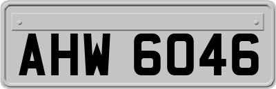 AHW6046