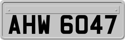 AHW6047