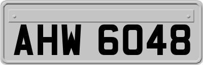 AHW6048