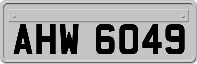 AHW6049