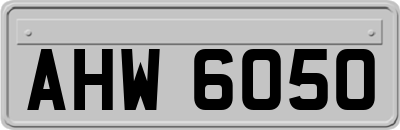 AHW6050