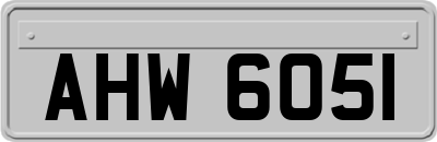 AHW6051