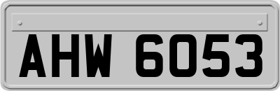 AHW6053