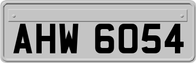 AHW6054
